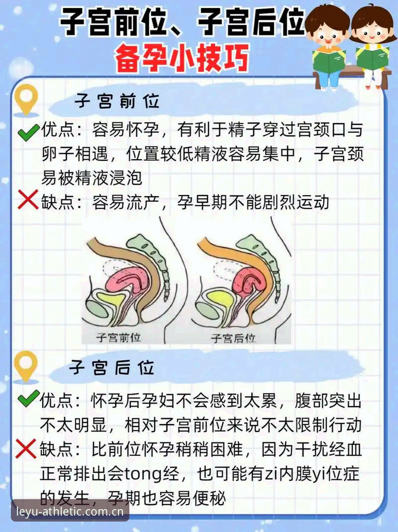 揭秘乐鱼体育平台的高效使用技巧：从下载到互动的完整技术指南